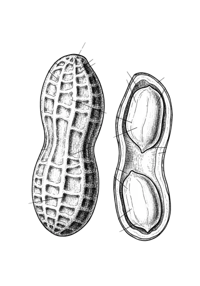 Imagen PNG para descargar